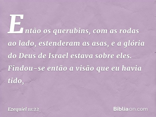 Então os querubins, com as rodas ao lado, estenderam as asas, e a glória do Deus de Israel estava sobre eles.
Findou-se então a visão que eu havia tido, -- Ezeq