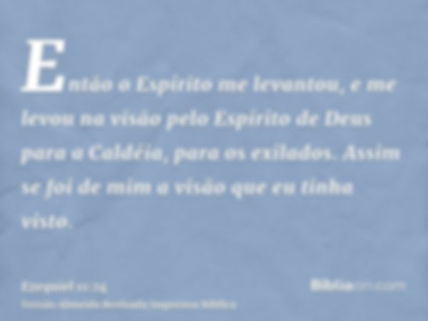 Então o Espírito me levantou, e me levou na visão pelo Espírito de Deus para a Caldéia, para os exilados. Assim se foi de mim a visão que eu tinha visto.