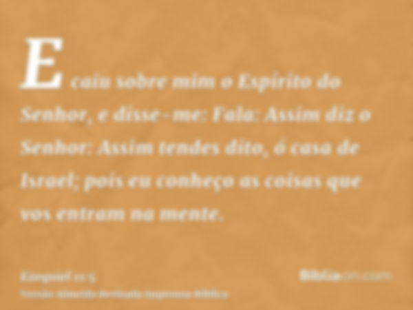 E caiu sobre mim o Espírito do Senhor, e disse-me: Fala: Assim diz o Senhor: Assim tendes dito, ó casa de Israel; pois eu conheço as coisas que vos entram na me