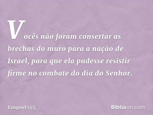 Vocês não foram consertar as brechas do muro para a nação de Israel, para que ela pudesse resistir firme no com­bate do dia do Senhor. -- Ezequiel 13:5