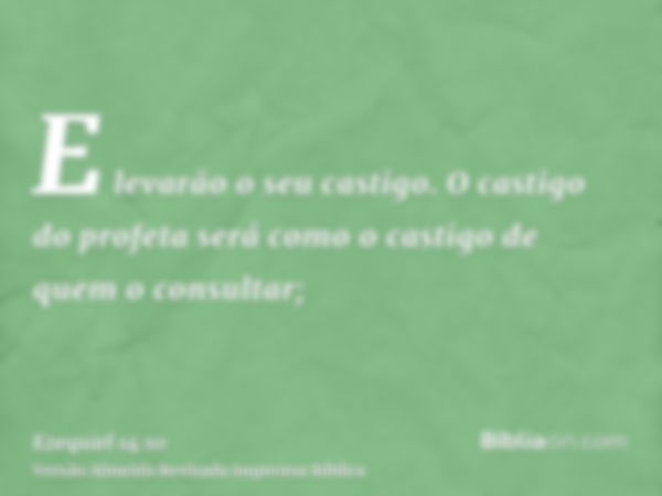 E levarão o seu castigo. O castigo do profeta será como o castigo de quem o consultar;