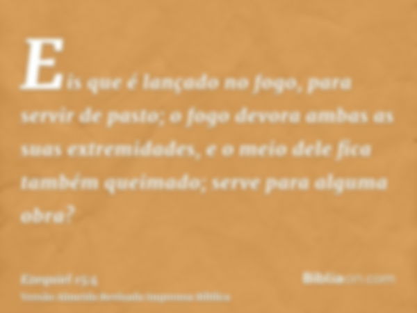 Eis que é lançado no fogo, para servir de pasto; o fogo devora ambas as suas extremidades, e o meio dele fica também queimado; serve para alguma obra?