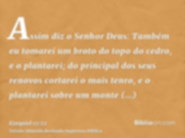 Assim diz o Senhor Deus: Também eu tomarei um broto do topo do cedro, e o plantarei; do principal dos seus renovos cortarei o mais tenro, e o plantarei sobre um