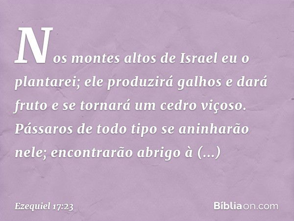 Nos montes altos de Israel eu o plantarei; ele produzirá galhos e dará fruto e se tornará um cedro viçoso. Pássaros de todo tipo se aninharão nele; encontrarão 