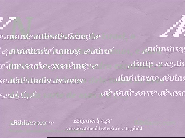 No monte alto de Israel, o plantarei, e produzirá ramos, e dará fruto, e se fará um cedro excelente; e habitarão debaixo dele todas as aves de toda sorte de asa