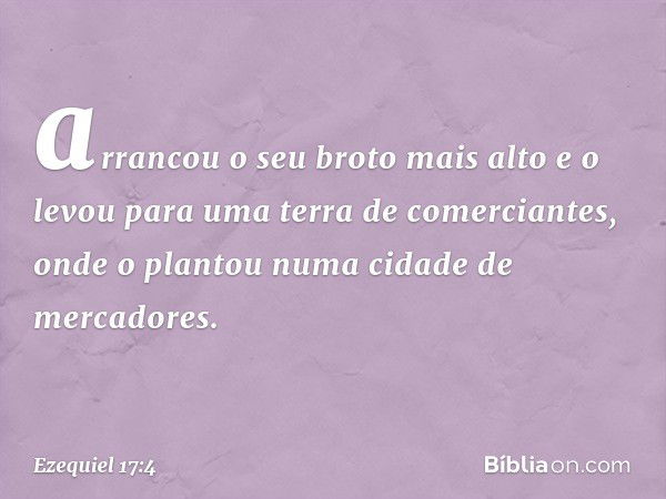 arrancou o seu broto mais alto e o levou para uma terra de comerciantes, onde o plantou numa cidade de mercadores. -- Ezequiel 17:4