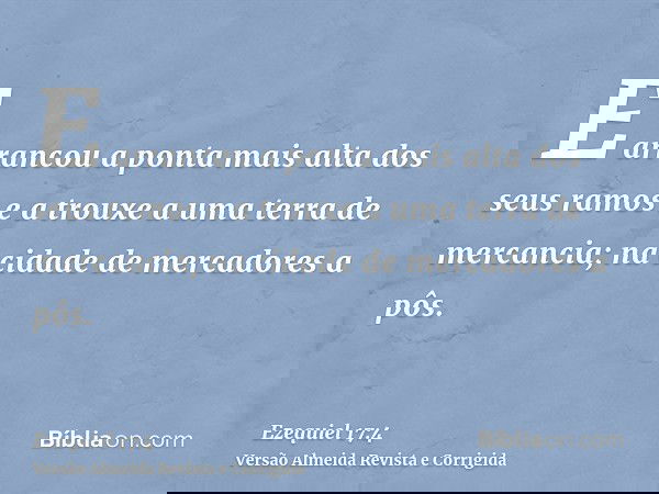 E arrancou a ponta mais alta dos seus ramos e a trouxe a uma terra de mercancia; na cidade de mercadores a pôs.