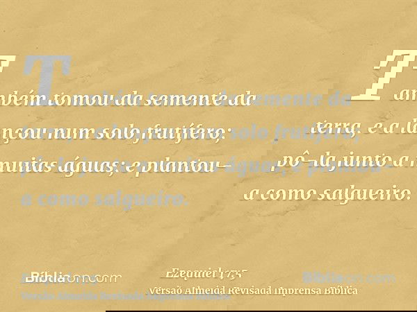 Também tomou da semente da terra, e a lançou num solo frutífero; pô-la junto a muitas águas; e plantou-a como salgueiro.