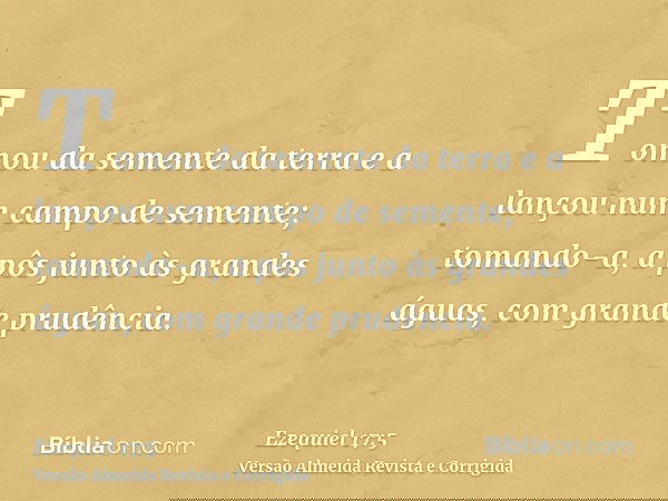 Tomou da semente da terra e a lançou num campo de semente; tomando-a, a pôs junto às grandes águas, com grande prudência.
