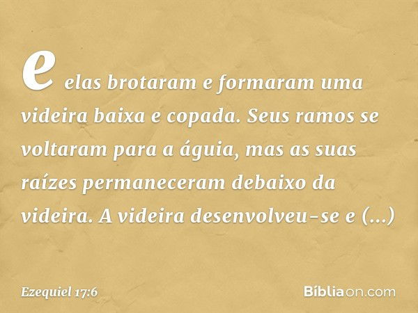 e elas brotaram e formaram uma videira baixa e copada. Seus ramos se voltaram para a águia, mas as suas raízes permaneceram debaixo da videira. A videira desenv