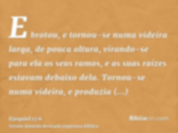 E brotou, e tornou-se numa videira larga, de pouca altura, virando-se para ela os seus ramos, e as suas raízes estavam debaixo dela. Tornou-se numa videira, e p