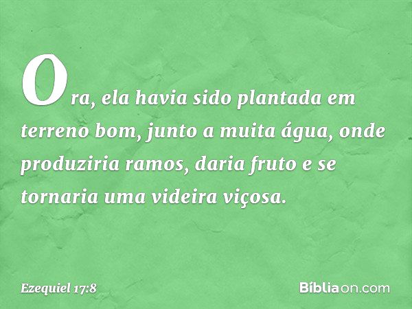 Ora, ela havia sido plantada em terreno bom, junto a muita água, onde produziria ramos, daria fruto e se tornaria uma videira viçosa. -- Ezequiel 17:8