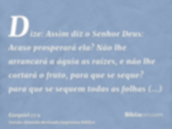 Dize: Assim diz o Senhor Deus: Acaso prosperará ela? Não lhe arrancará a águia as raízes, e não lhe cortará o fruto, para que se seque? para que se sequem todas