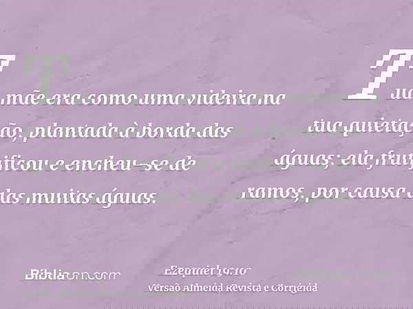 Tua mãe era como uma videira na tua quietação, plantada à borda das águas; ela frutificou e encheu-se de ramos, por causa das muitas águas.