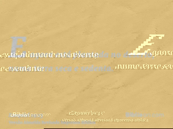 E agora está plantada no deserto, numa terra seca e sedenta.