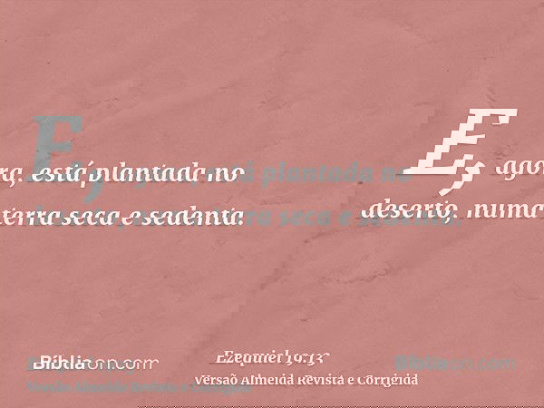 E, agora, está plantada no deserto, numa terra seca e sedenta.