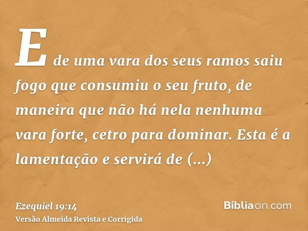 Ezequiel 19:14 - Bíblia