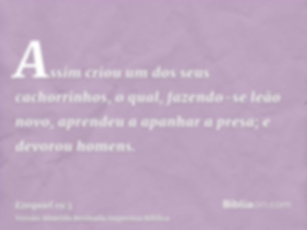 Assim criou um dos seus cachorrinhos, o qual, fazendo-se leão novo, aprendeu a apanhar a presa; e devorou homens.