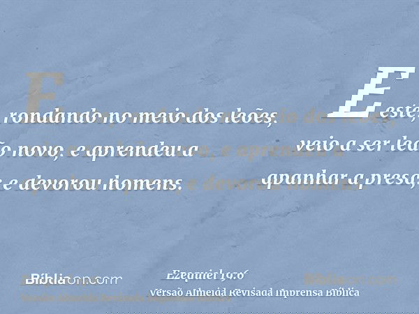 E este, rondando no meio dos leões, veio a ser leão novo, e aprendeu a apanhar a presa; e devorou homens.