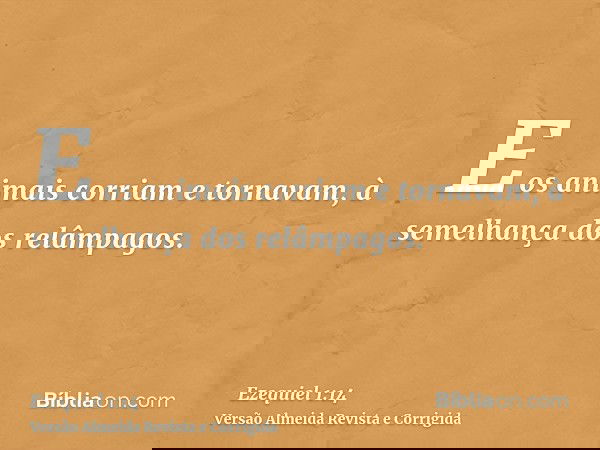 E os animais corriam e tornavam, à semelhança dos relâmpagos.