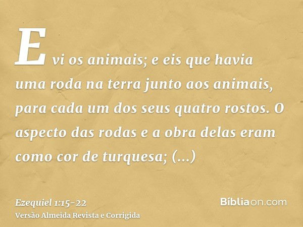 E vi os animais; e eis que havia uma roda na terra junto aos animais, para cada um dos seus quatro rostos.O aspecto das rodas e a obra delas eram como cor de tu