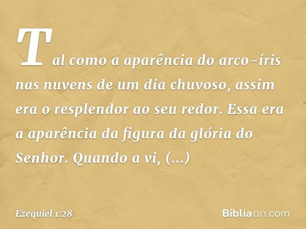 Tal como a aparência do arco-íris nas nuvens de um dia chuvoso, assim era o resplendor ao seu redor.
Essa era a aparência da figura da glória do Senhor. Quando 