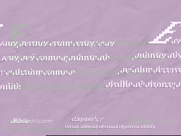 E as suas pernas eram retas; e as plantas dos seus pés como a planta do pé dum bezerro; e luziam como o brilho de bronze polido.