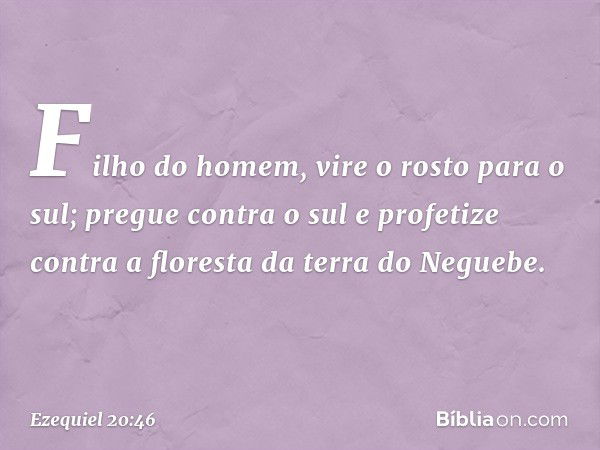 "Fi­lho do homem, vire o rosto para o sul; pregue contra o sul e profetize contra a floresta da terra do Neguebe. -- Ezequiel 20:46