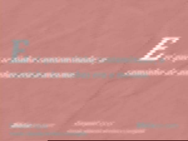 E vi que se tinha contaminado; o caminho de ambas era o mesmo.