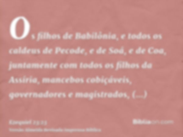 Os filhos de Babilônia, e todos os caldeus de Pecode, e de Soá, e de Coa, juntamente com todos os filhos da Assíria, mancebos cobiçáveis, governadores e magistr