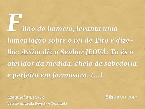 Filho do homem, levanta uma lamentação sobre o rei de Tiro e dize-lhe: Assim diz o Senhor JEOVÁ: Tu és o aferidor da medida, cheio de sabedoria e perfeito em fo