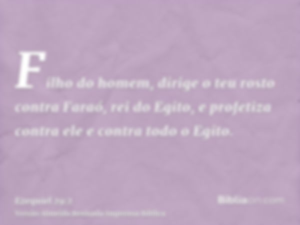 Filho do homem, dirige o teu rosto contra Faraó, rei do Egito, e profetiza contra ele e contra todo o Egito.