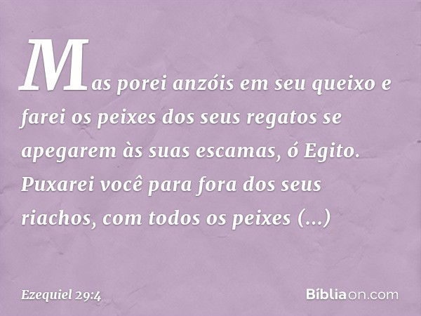 Mas porei anzóis em seu queixo
e farei os peixes dos seus regatos
se apegarem
às suas escamas, ó Egito.
Puxarei você para fora dos seus riachos,
com todos os pe