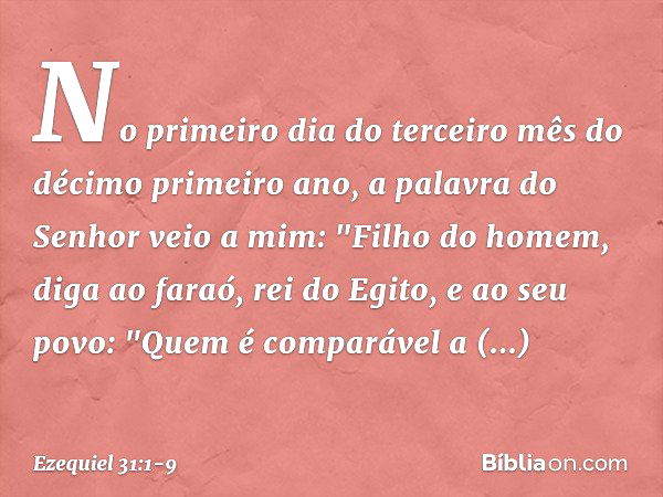 No primeiro dia do terceiro mês do décimo primeiro ano, a palavra do Senhor veio a mim: "Filho do homem, diga ao faraó, rei do Egito, e ao seu povo:
"Quem é com