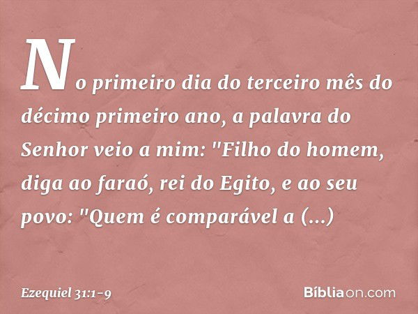 No primeiro dia do terceiro mês do décimo primeiro ano, a palavra do Senhor veio a mim: "Filho do homem, diga ao faraó, rei do Egito, e ao seu povo:
"Quem é com