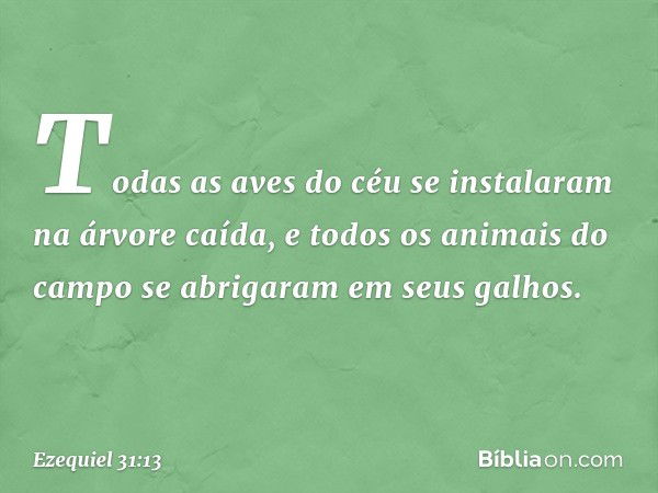 Todas as aves do céu se instalaram na árvore caída, e todos os animais do campo se abrigaram em seus galhos. -- Ezequiel 31:13