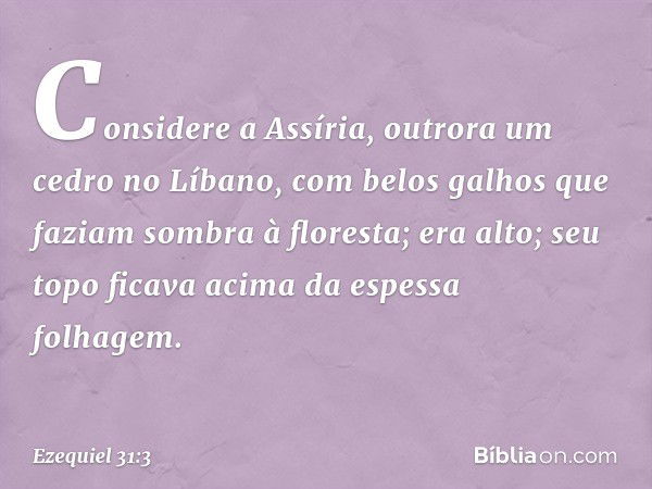 Considere a Assíria,
outrora um cedro no Líbano,
com belos galhos que faziam
sombra à floresta;
era alto;
seu topo ficava acima
da espessa folhagem. -- Ezequiel