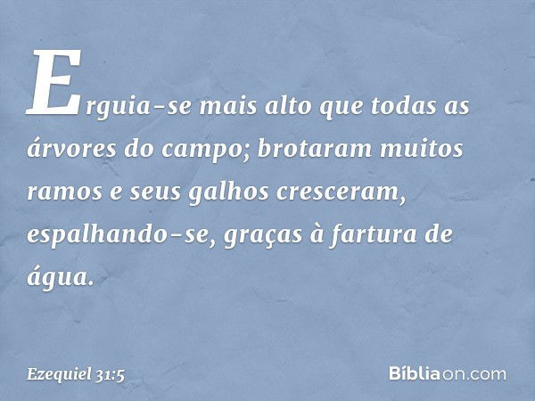 Erguia-se mais alto que
todas as árvores do campo;
brotaram muitos ramos
e seus galhos cresceram,
espalhando-se, graças à fartura de água. -- Ezequiel 31:5