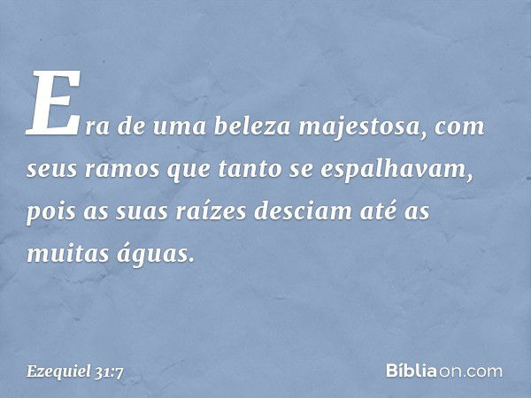 Era de uma beleza majestosa,
com seus ramos
que tanto se espalhavam,
pois as suas raízes desciam
até as muitas águas. -- Ezequiel 31:7