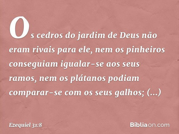 Os cedros do jardim de Deus
não eram rivais para ele,
nem os pinheiros conseguiam
igualar-se aos seus ramos,
nem os plátanos podiam
comparar-se com os seus galh