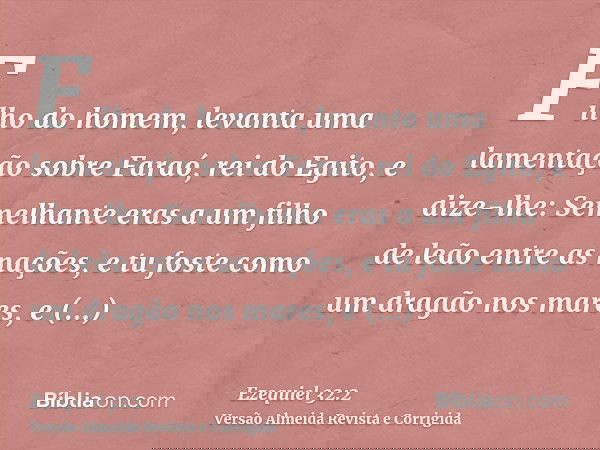 Filho do homem, levanta uma lamentação sobre Faraó, rei do Egito, e dize-lhe: Semelhante eras a um filho de leão entre as nações, e tu foste como um dragão nos