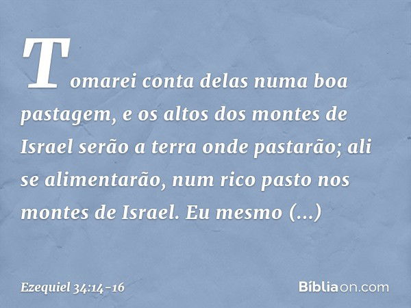 To­marei conta delas numa boa pastagem, e os altos dos montes de Israel serão a terra onde pastarão; ali se alimentarão, num rico pasto nos montes de Israel. Eu