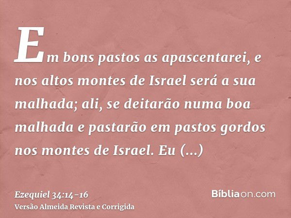 Em bons pastos as apascentarei, e nos altos montes de Israel será a sua malhada; ali, se deitarão numa boa malhada e pastarão em pastos gordos nos montes de Isr