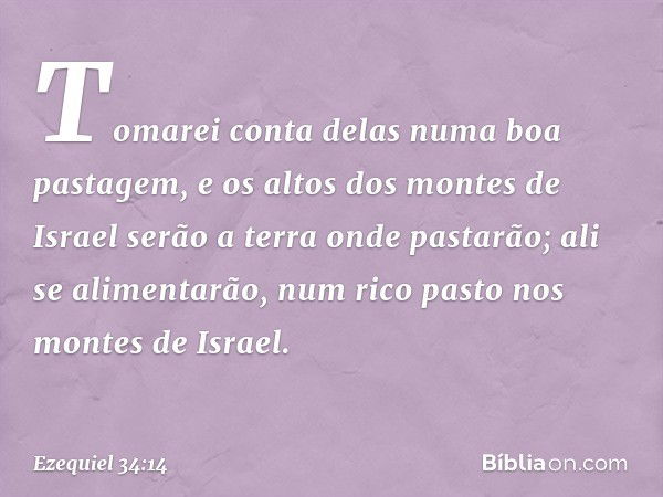 To­marei conta delas numa boa pastagem, e os altos dos montes de Israel serão a terra onde pastarão; ali se alimentarão, num rico pasto nos montes de Israel. --