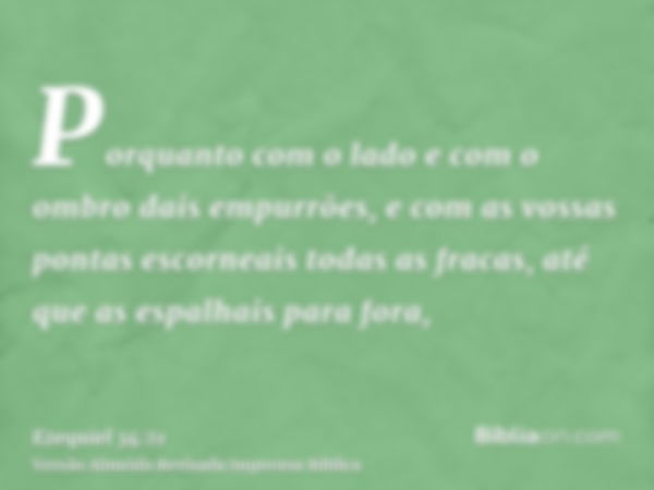 Porquanto com o lado e com o ombro dais empurrões, e com as vossas pontas escorneais todas as fracas, até que as espalhais para fora,