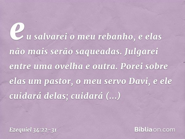 eu salvarei o meu rebanho, e elas não mais serão saqueadas. Julgarei entre uma ovelha e outra. Porei sobre elas um pastor, o meu servo Davi, e ele cuidará delas