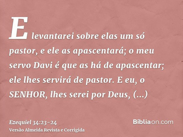 E levantarei sobre elas um só pastor, e ele as apascentará; o meu servo Davi é que as há de apascentar; ele lhes servirá de pastor.E eu, o SENHOR, lhes serei po