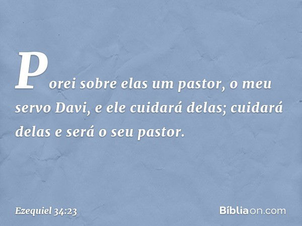 Porei sobre elas um pastor, o meu servo Davi, e ele cuidará delas; cuidará delas e será o seu pastor. -- Ezequiel 34:23