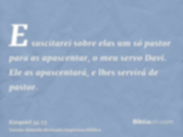 E suscitarei sobre elas um só pastor para as apascentar, o meu servo Davi. Ele as apascentará, e lhes servirá de pastor.