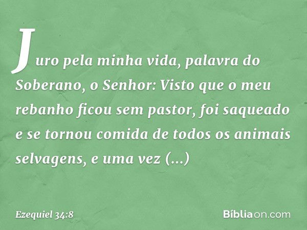 Juro pela minha vida, palavra do Soberano, o Senhor: Visto que o meu rebanho ficou sem pastor, foi saqueado e se tornou comida de todos os animais selvagens, e 